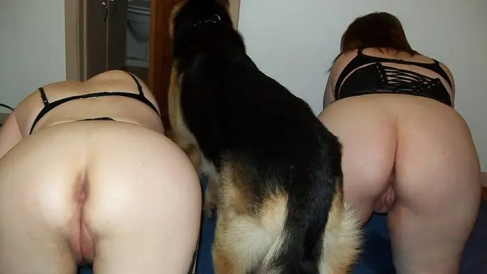 Eu e minha amiga fazendo sexo com cachorro